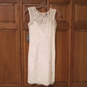 Express Eva Mendes Dress